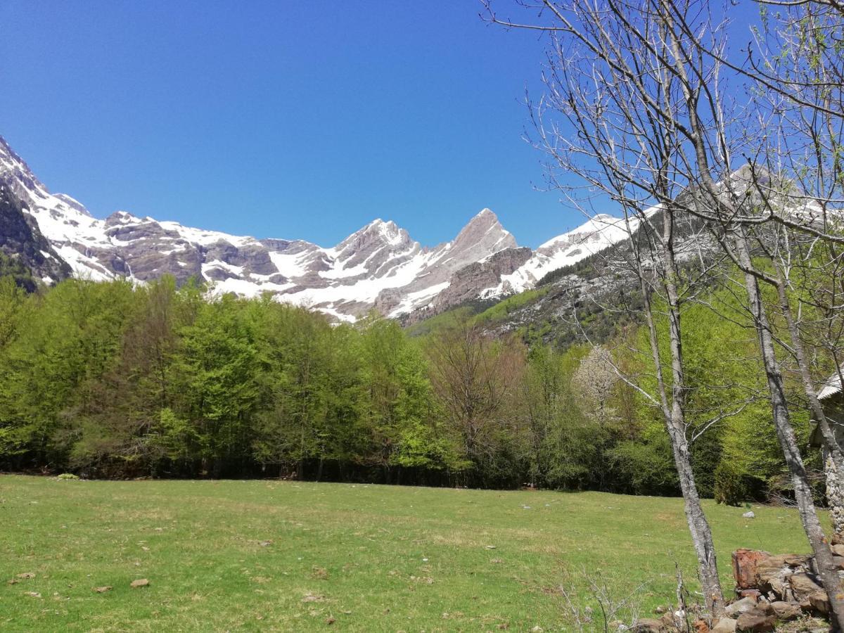 Apartamento El Fenal De Turmo Casa Rural "El Capricho De Nieves" Laspuña Kültér fotó